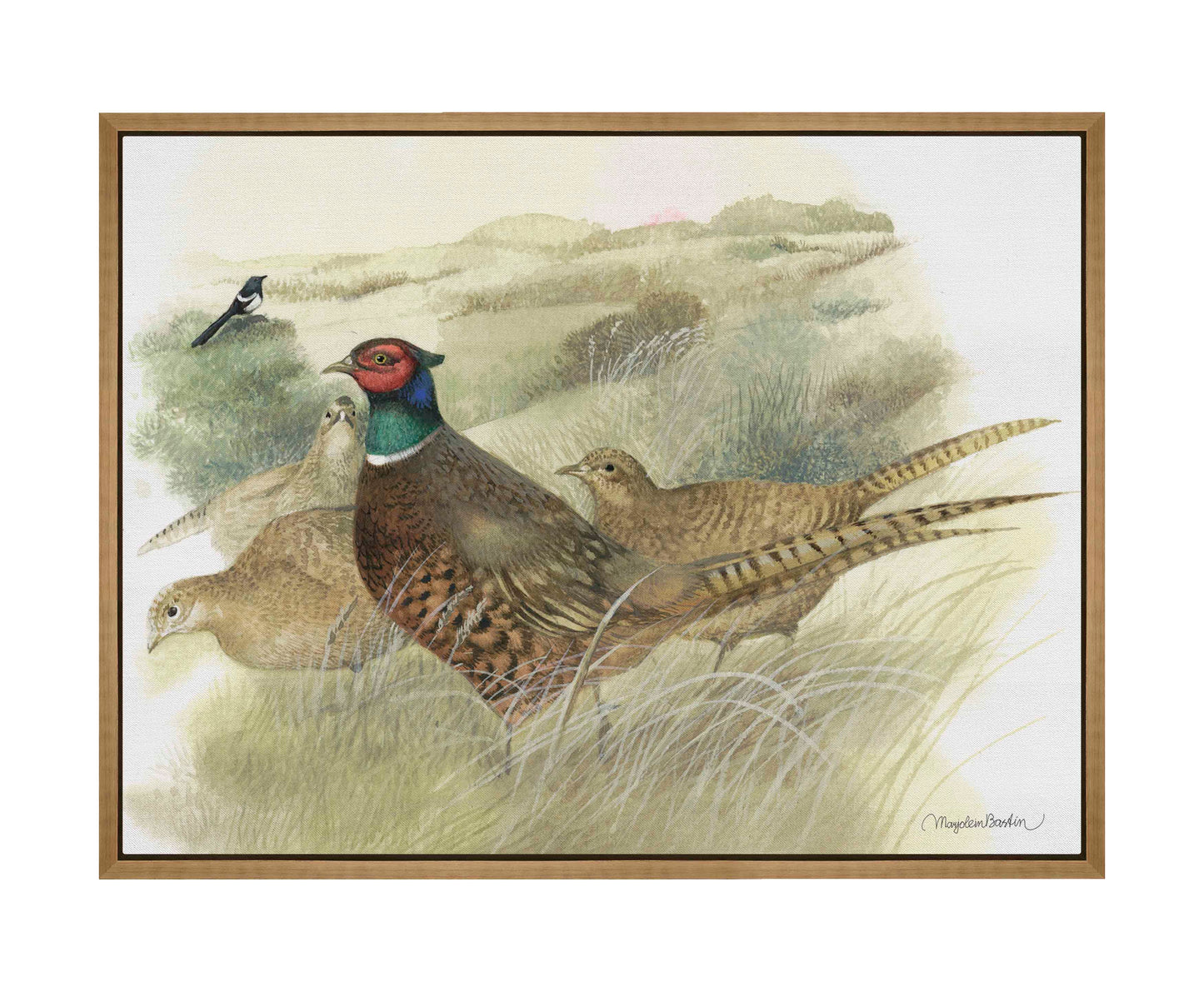 Pheasants on Ameland - Gallery Wrapped Canvas