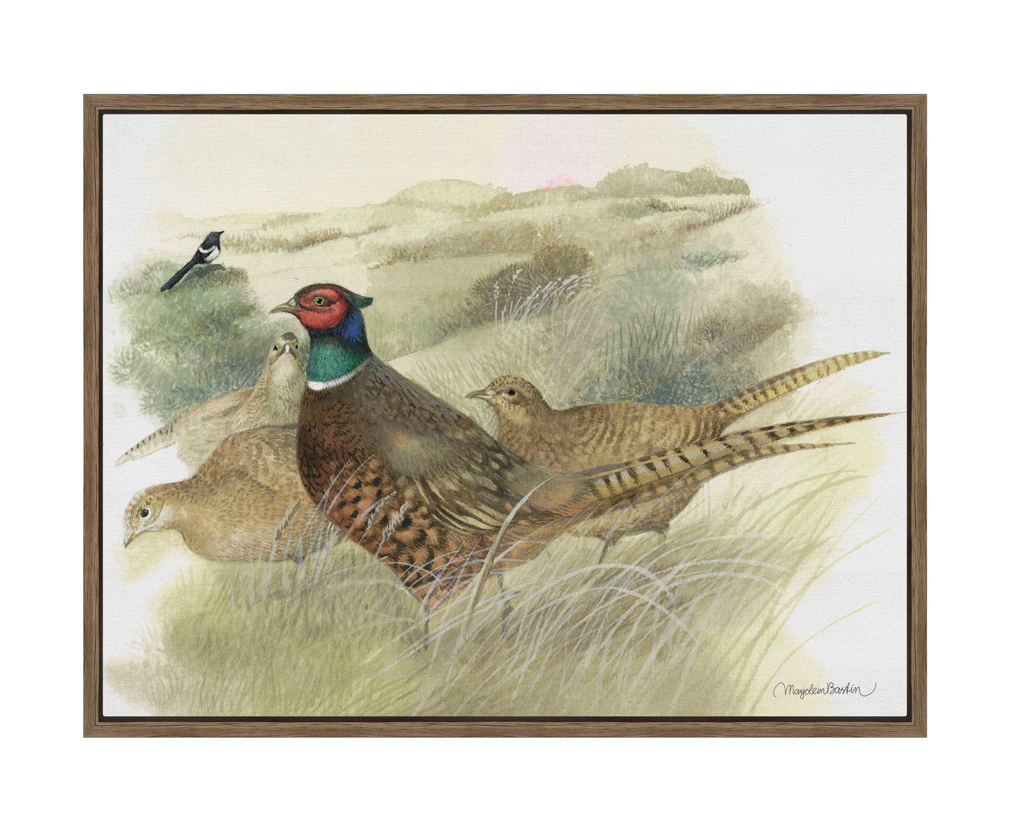 Pheasants on Ameland - Gallery Wrapped Canvas