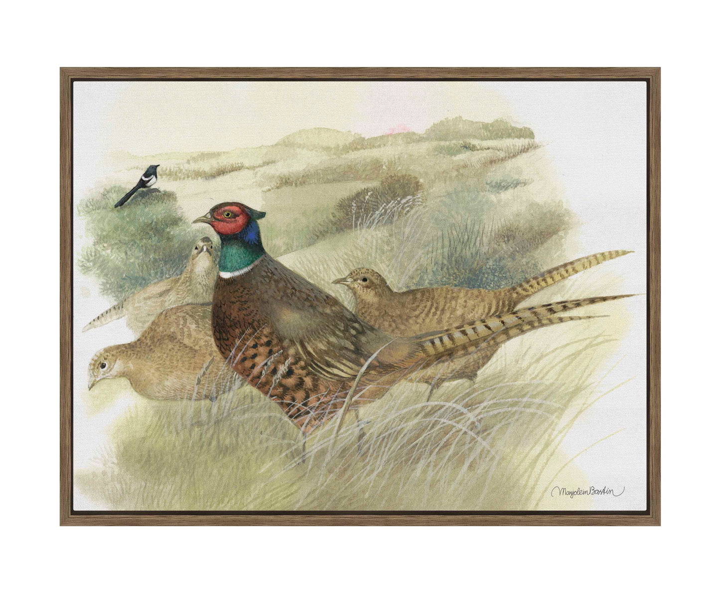 Pheasants on Ameland - Gallery Wrapped Canvas