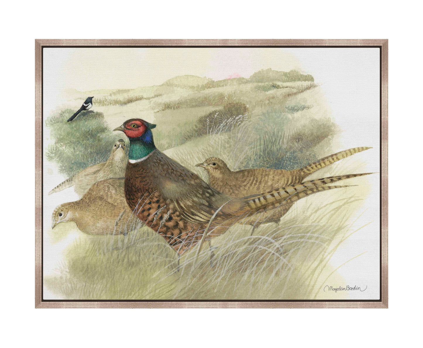 Pheasants on Ameland - Gallery Wrapped Canvas