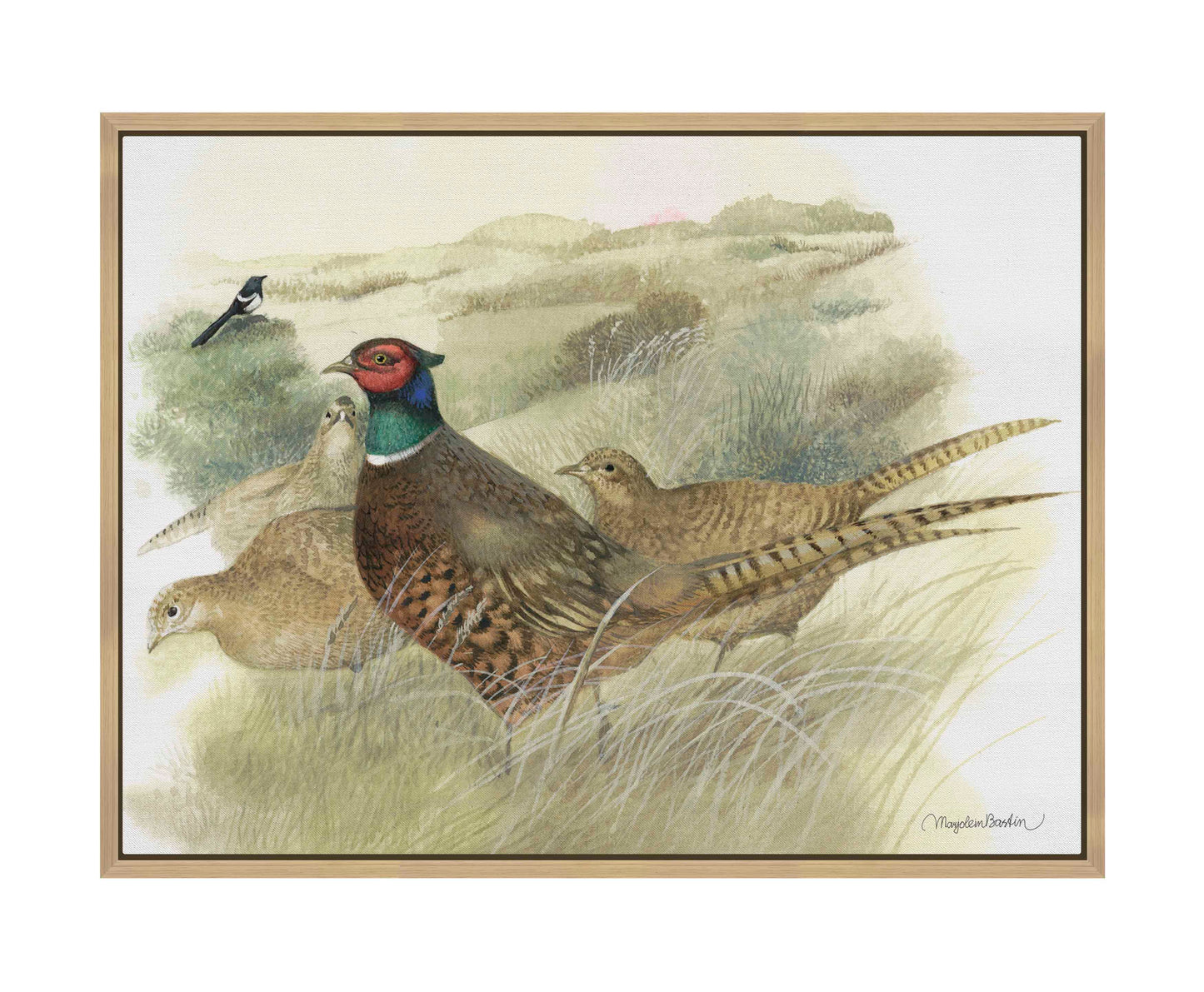 Pheasants on Ameland - Gallery Wrapped Canvas