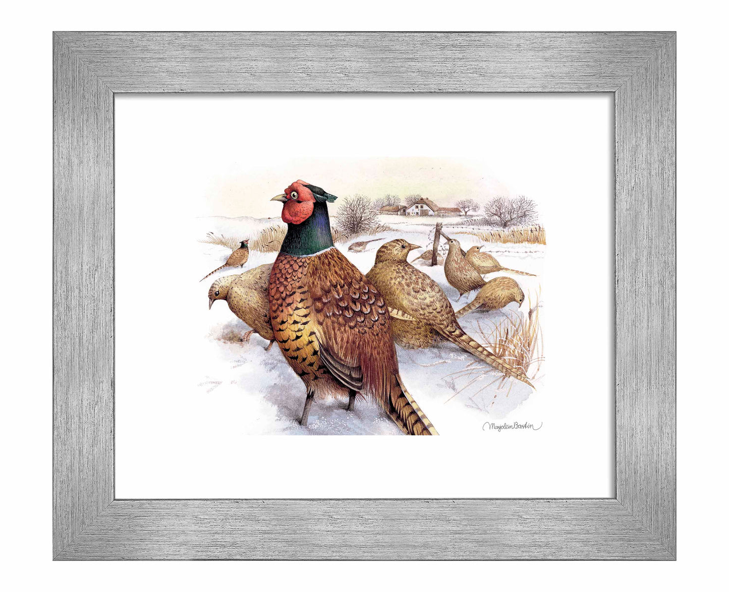 Pheasants in Snow - Art Prints