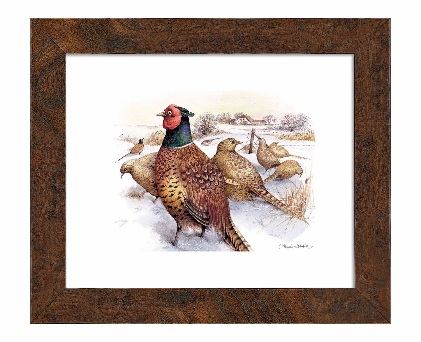 Pheasants in Snow - Art Prints