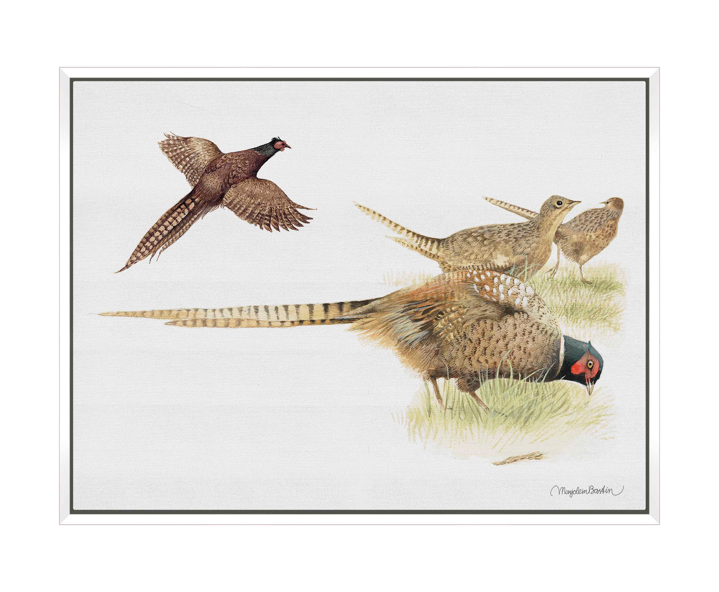 Loudly Foraging - Gallery Wrapped Canvas