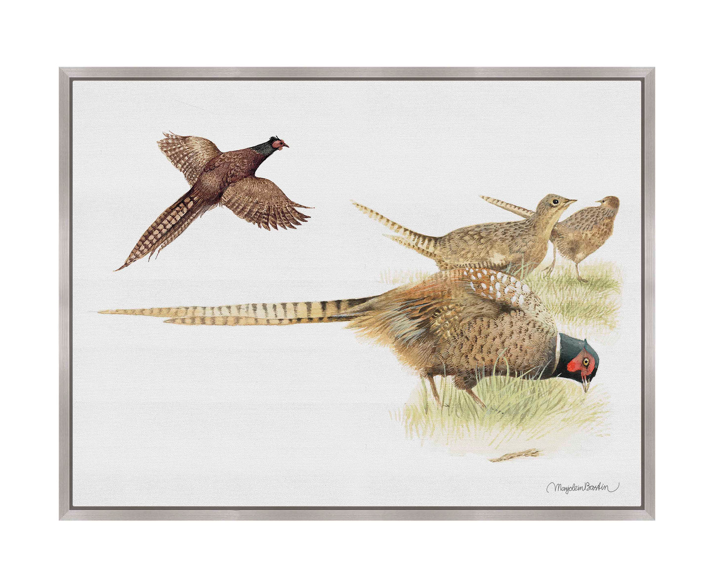 Loudly Foraging - Gallery Wrapped Canvas