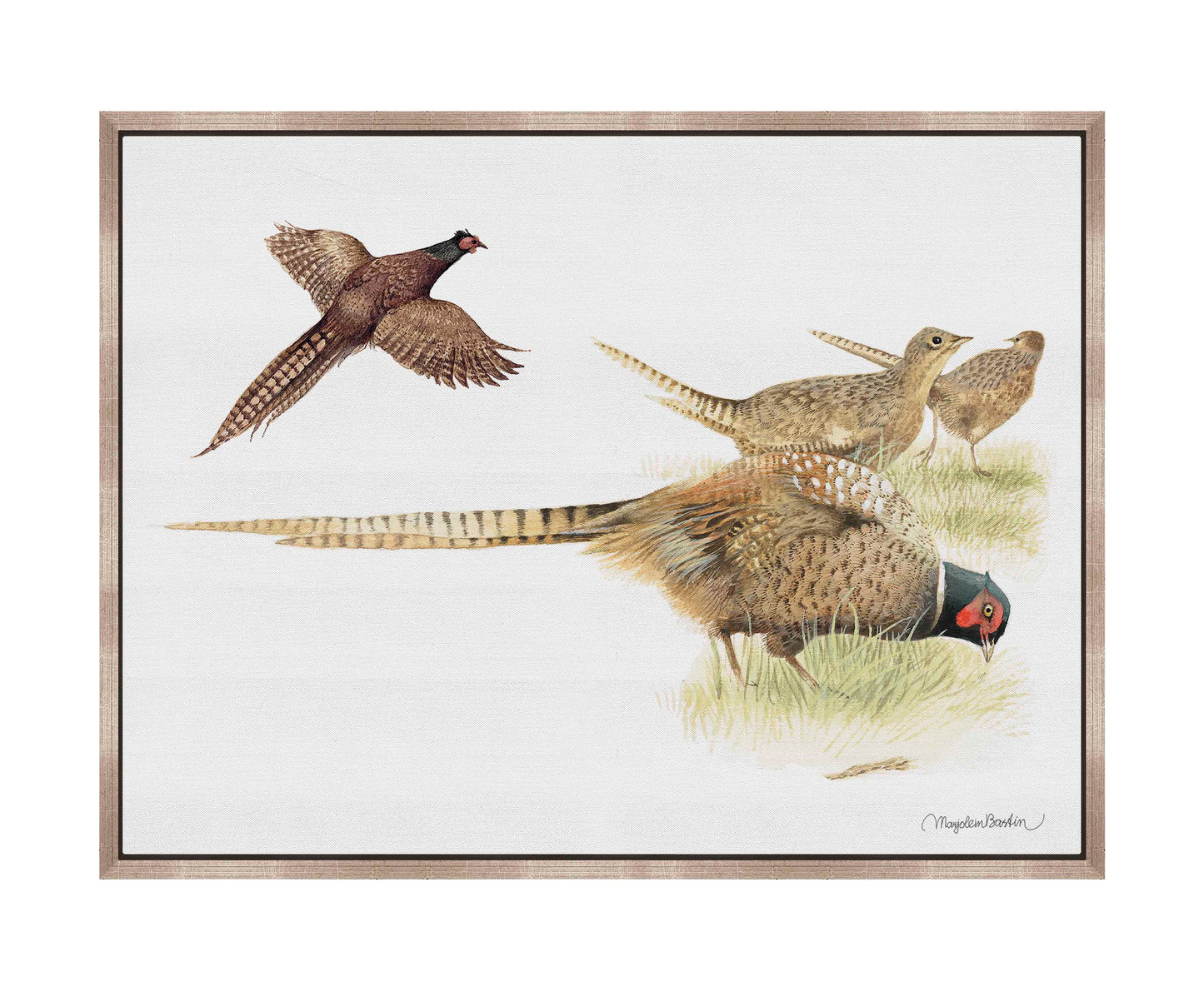 Loudly Foraging - Gallery Wrapped Canvas