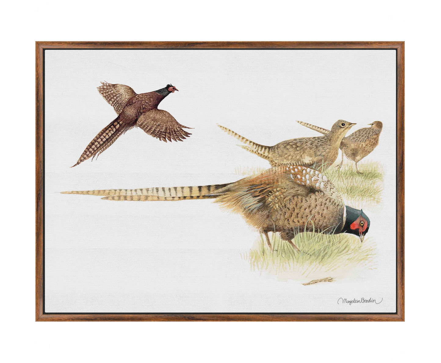 Loudly Foraging - Gallery Wrapped Canvas