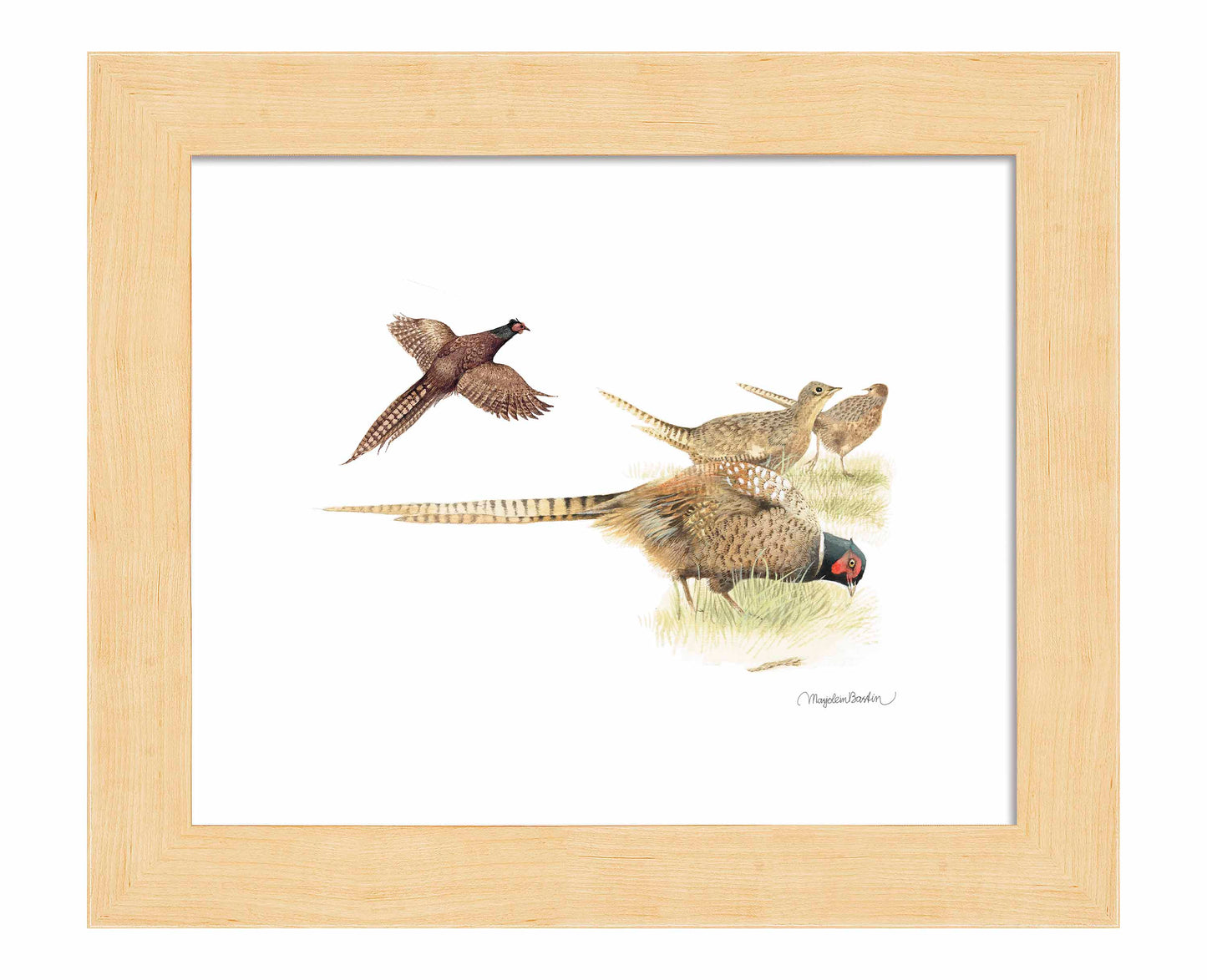 Loudly Foraging - Art Prints