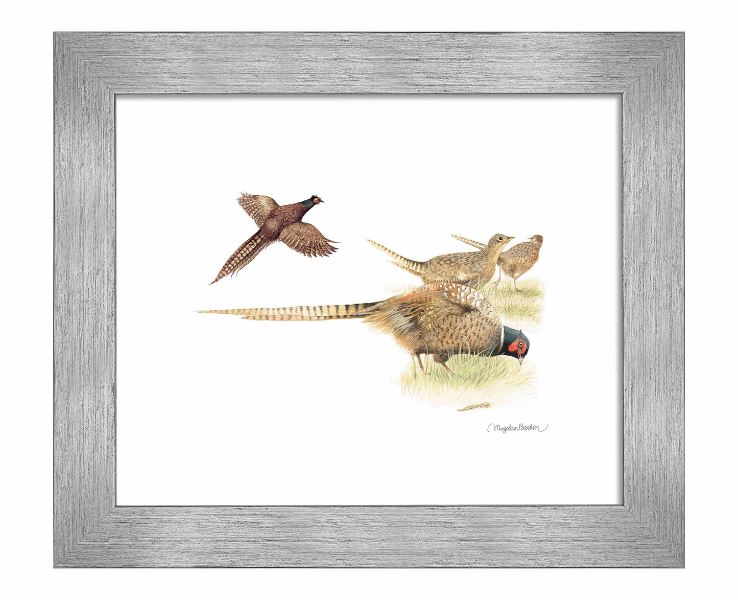 Loudly Foraging - Art Prints