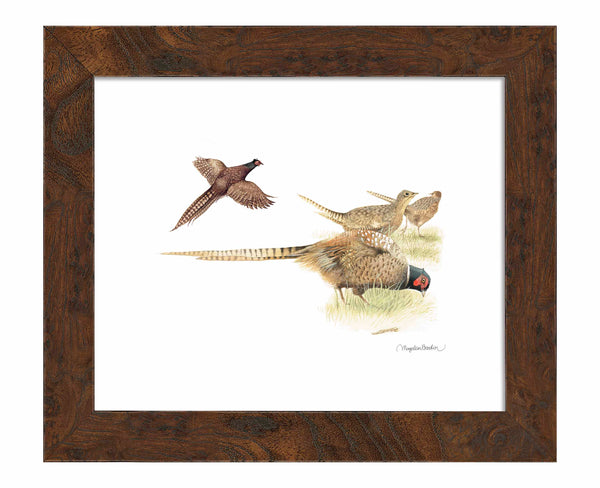 Loudly Foraging - Art Prints