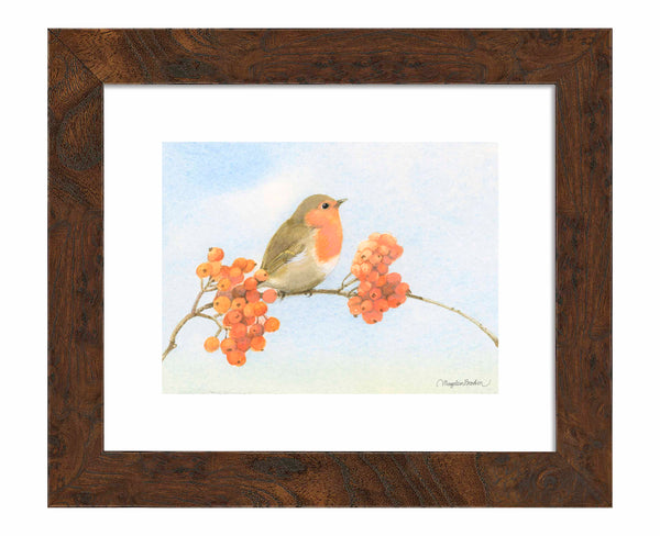 Robin's Camoflage - Art Prints