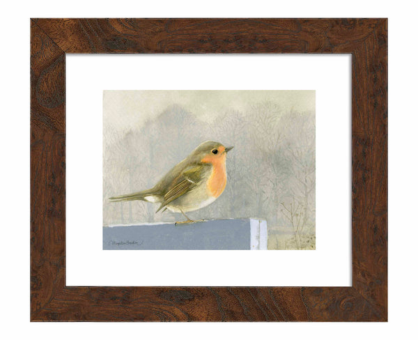 Quiet Reflection - Art Prints