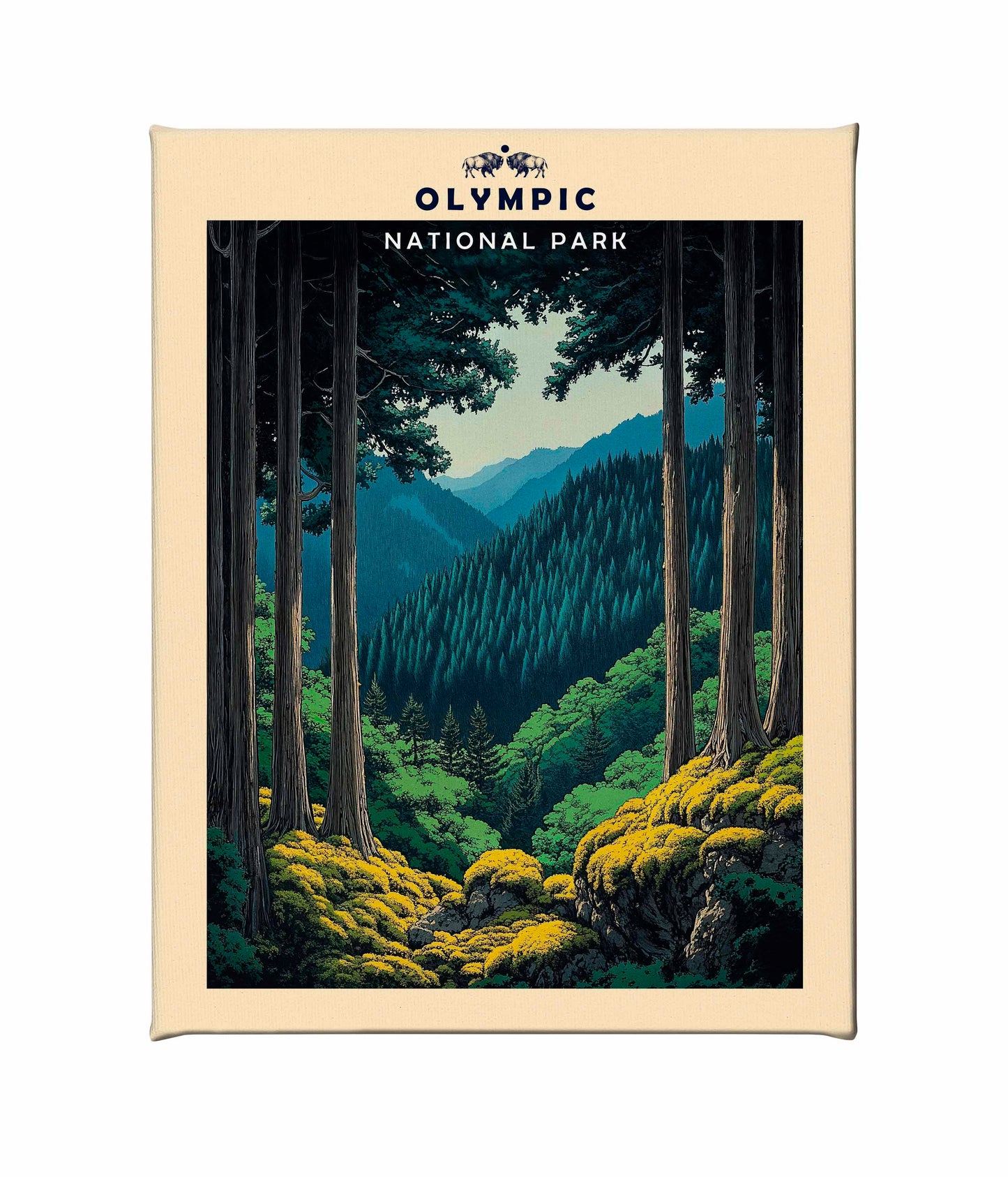Olympic - Gallery Wrapped Canvas