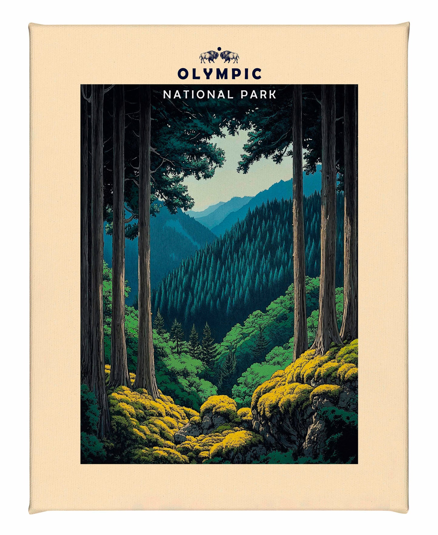 Olympic - Gallery Wrapped Canvas