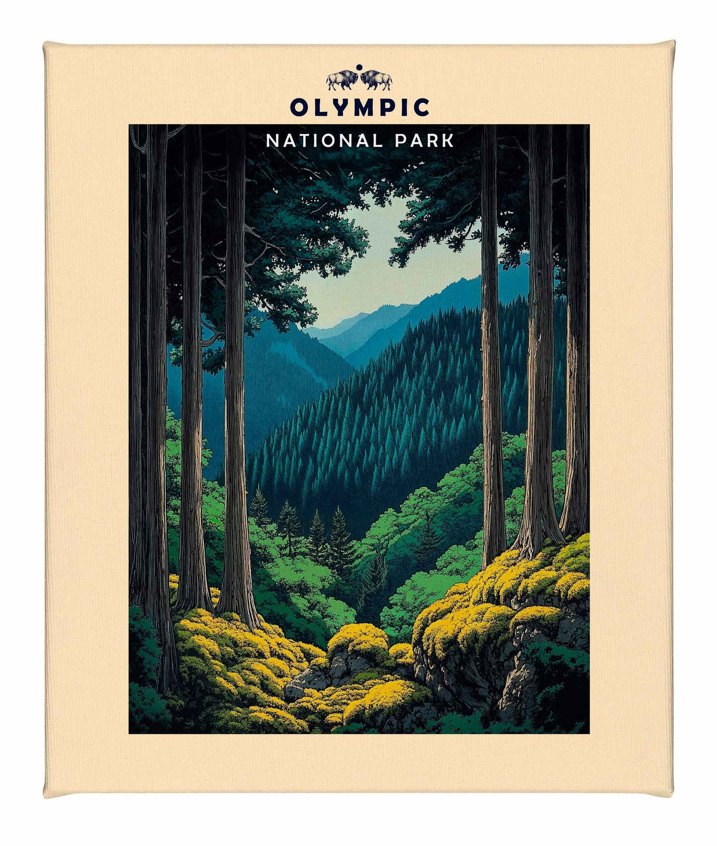 Olympic - Gallery Wrapped Canvas