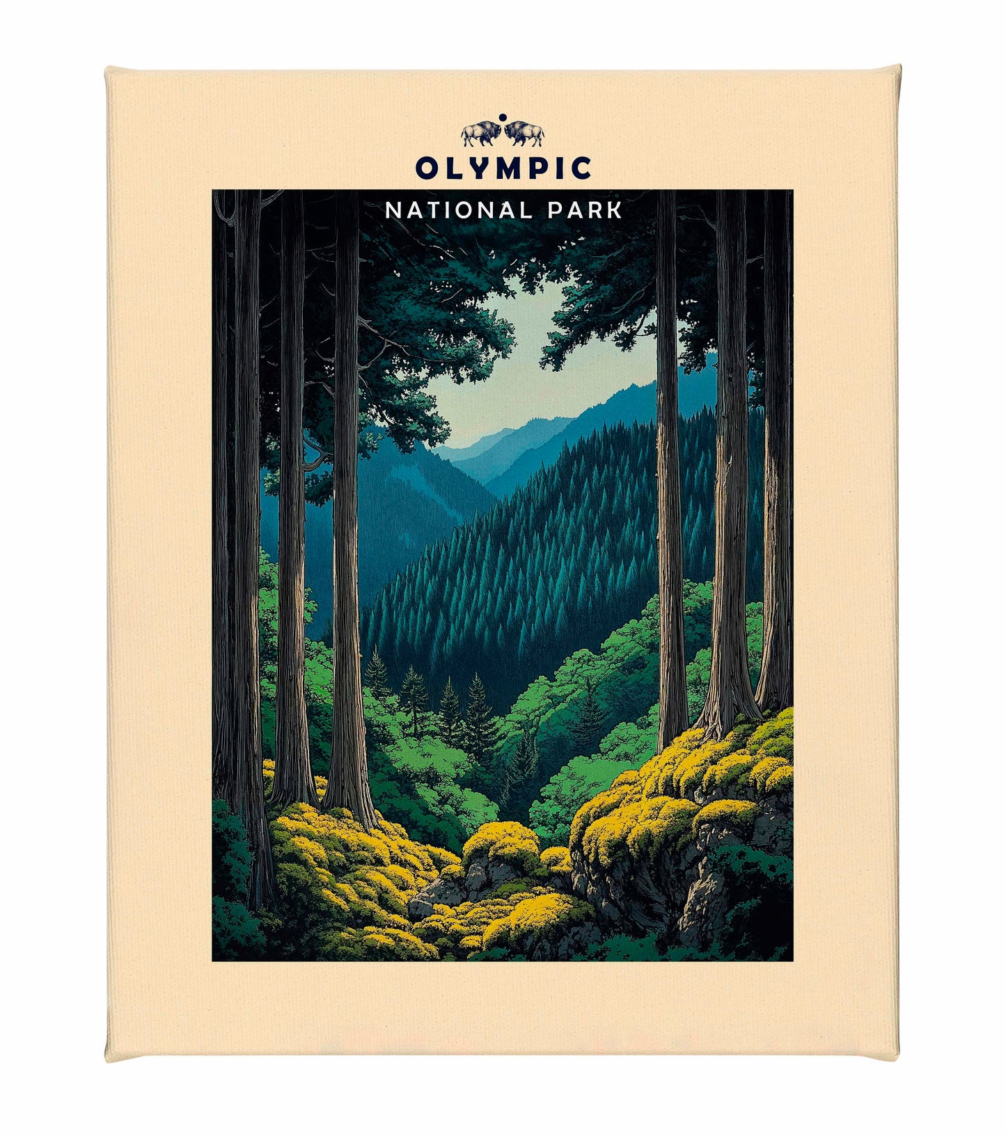 Olympic - Gallery Wrapped Canvas