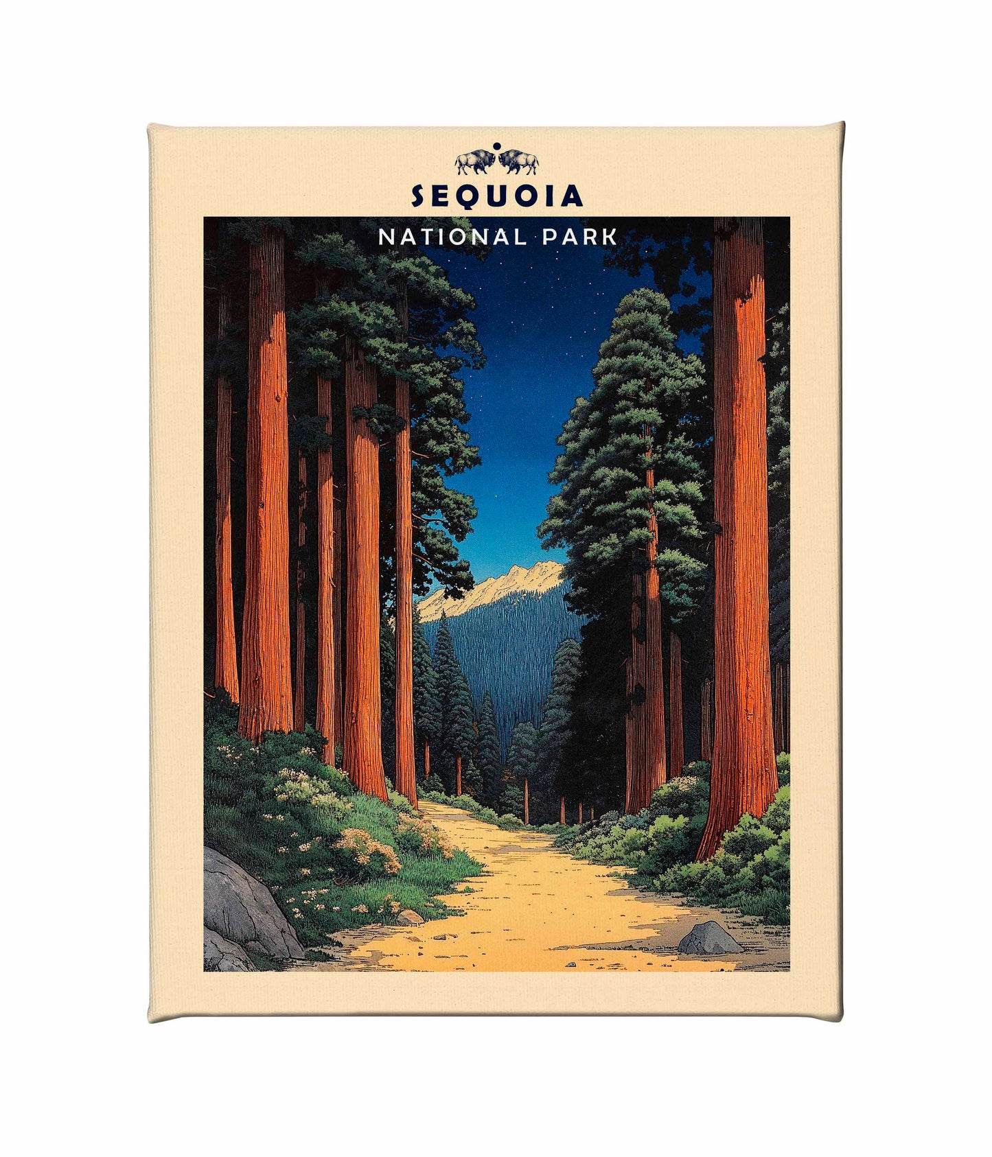 Sequoia - Gallery Wrapped Canvas