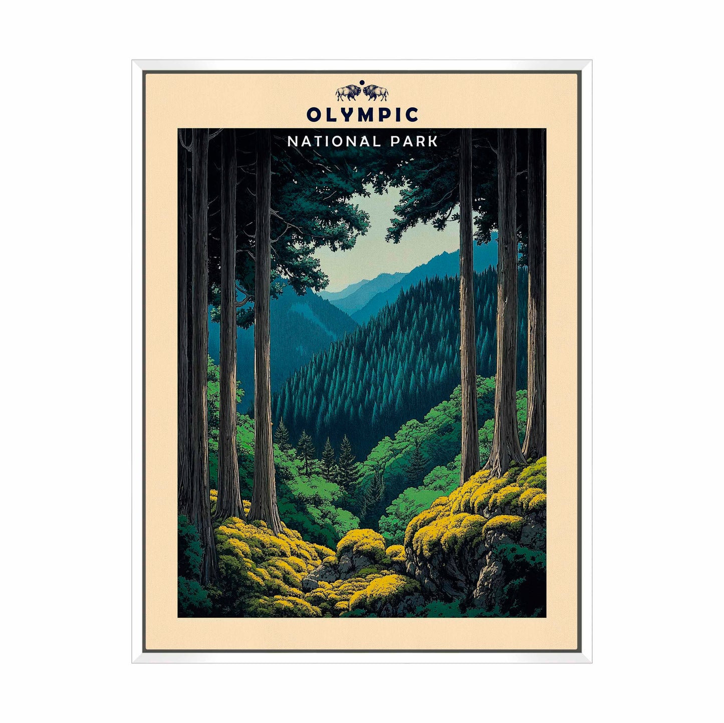 Olympic - Gallery Wrapped Canvas