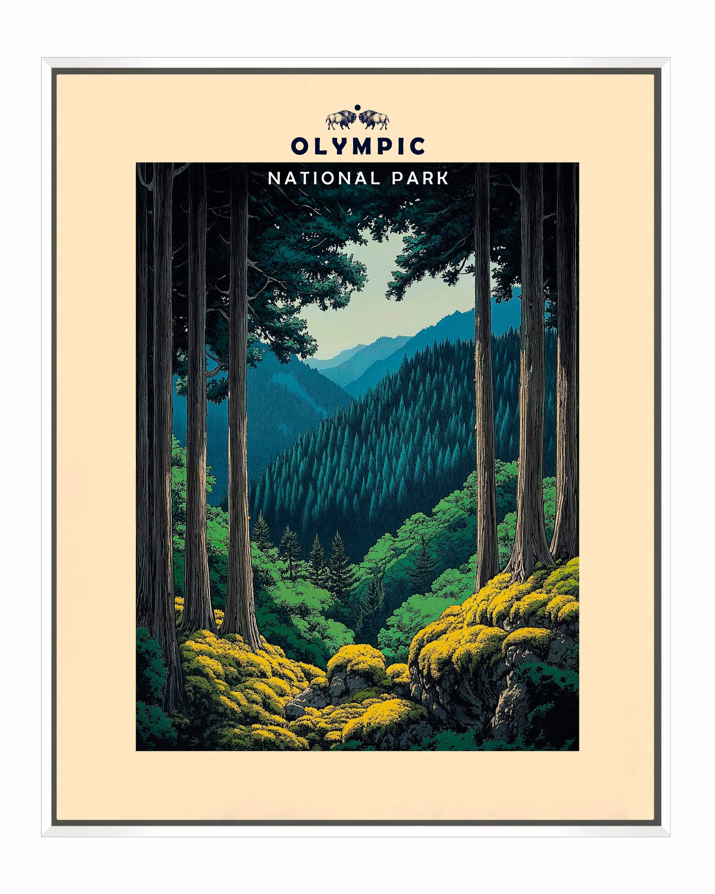 Olympic - Gallery Wrapped Canvas