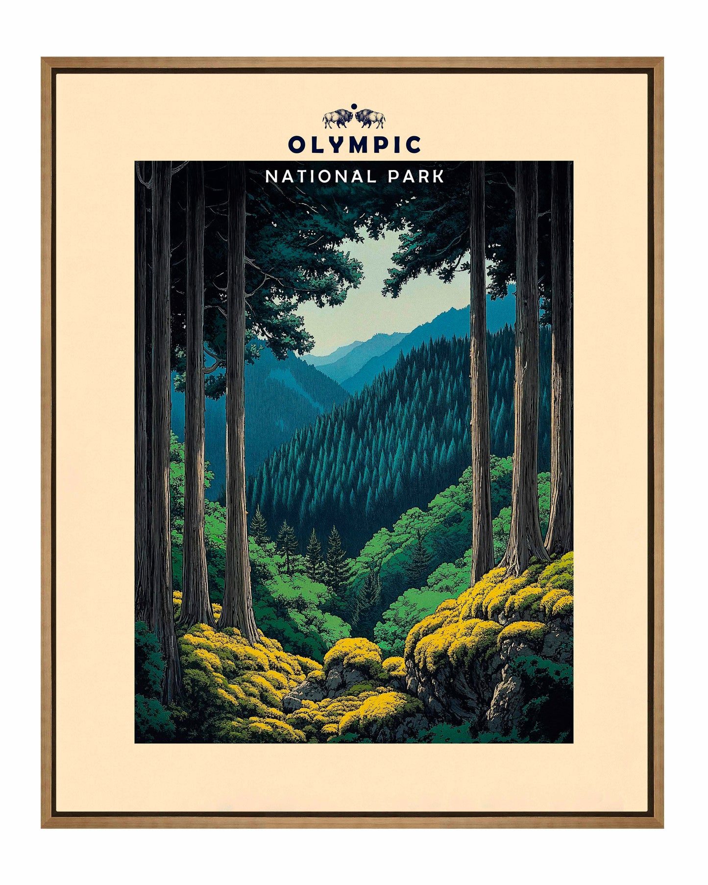 Olympic - Gallery Wrapped Canvas