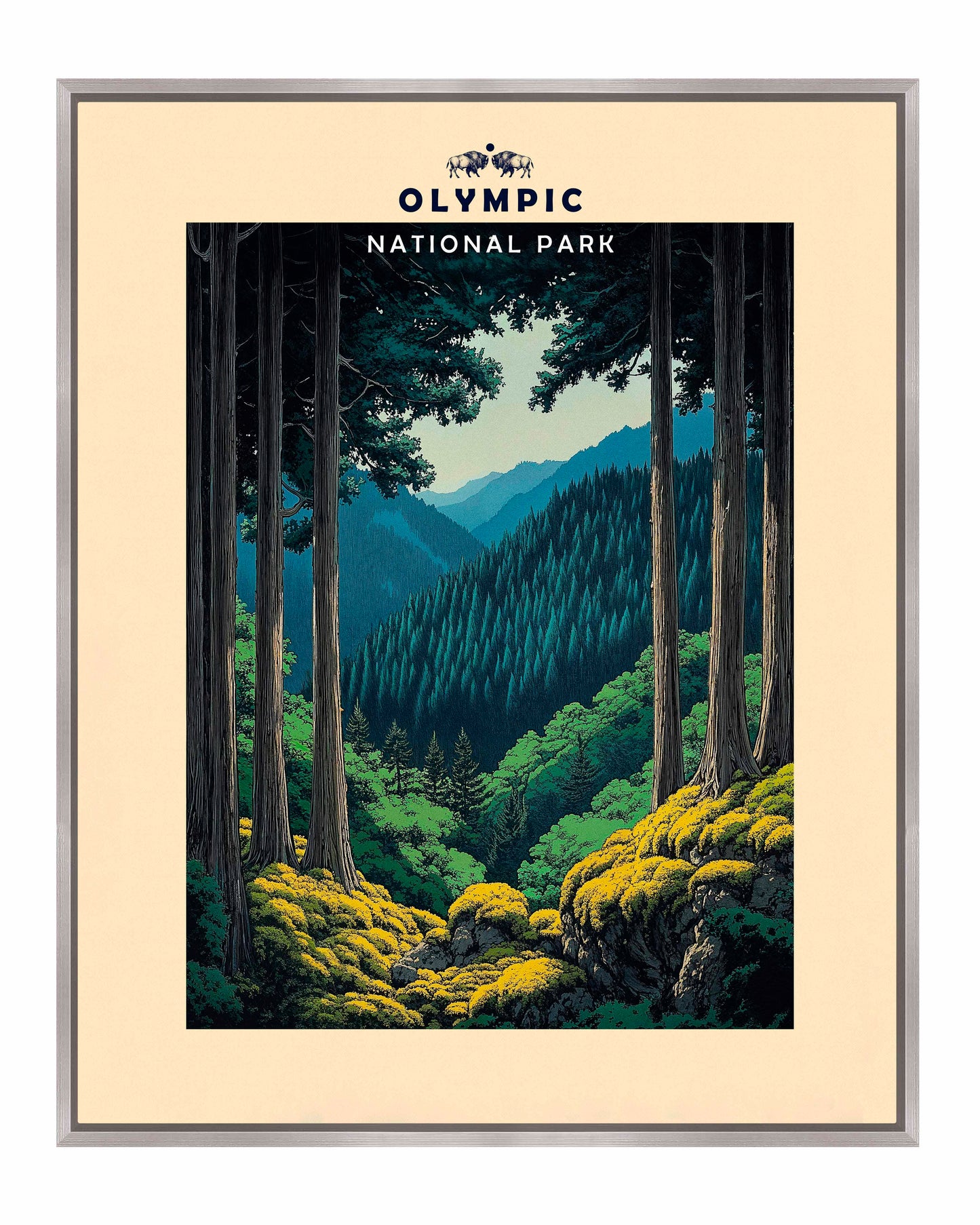 Olympic - Gallery Wrapped Canvas