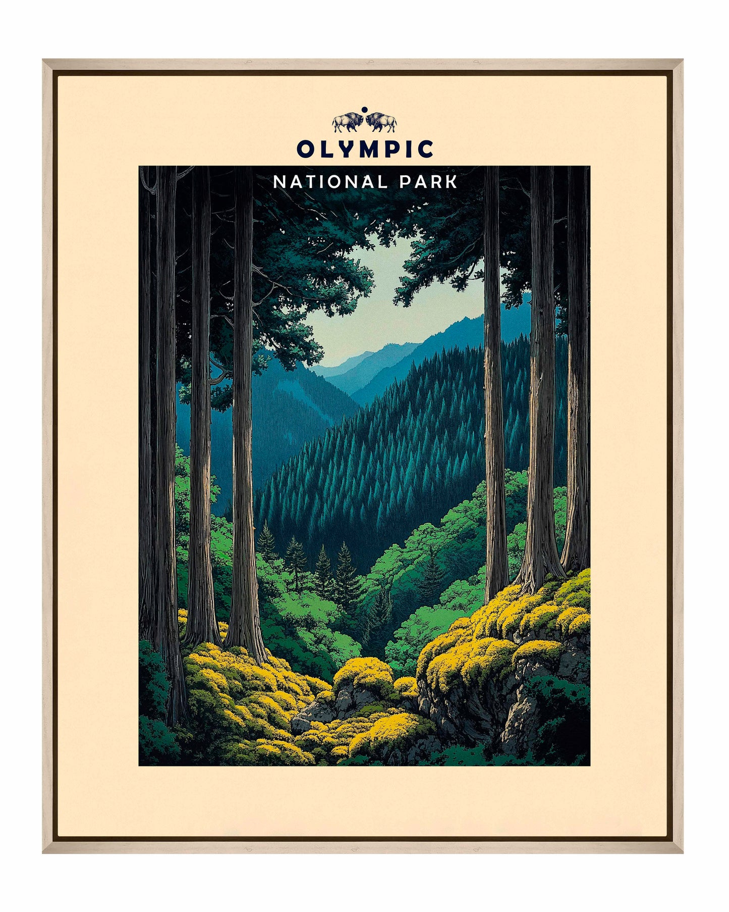 Olympic - Gallery Wrapped Canvas