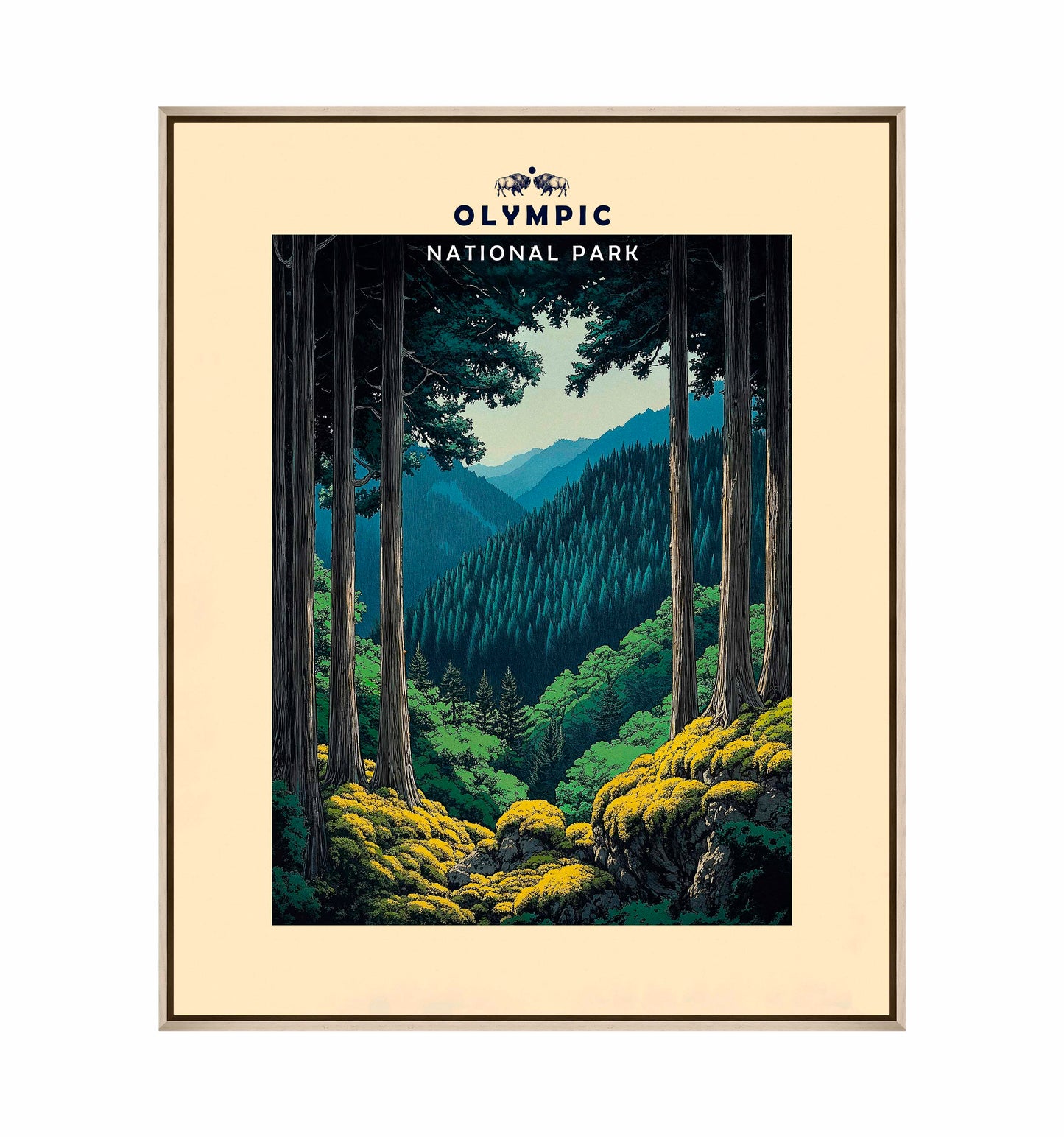 Olympic - Gallery Wrapped Canvas