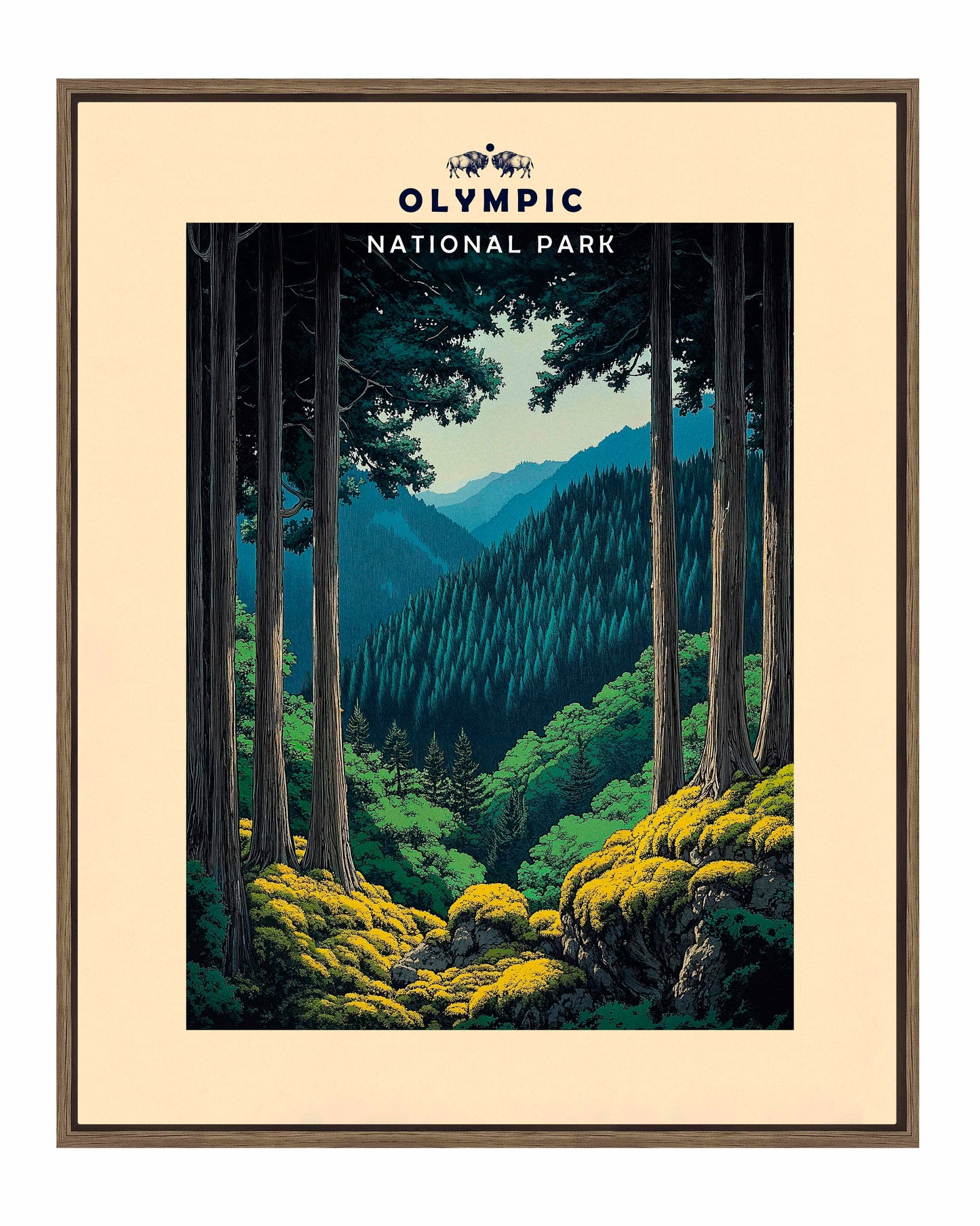 Olympic - Gallery Wrapped Canvas