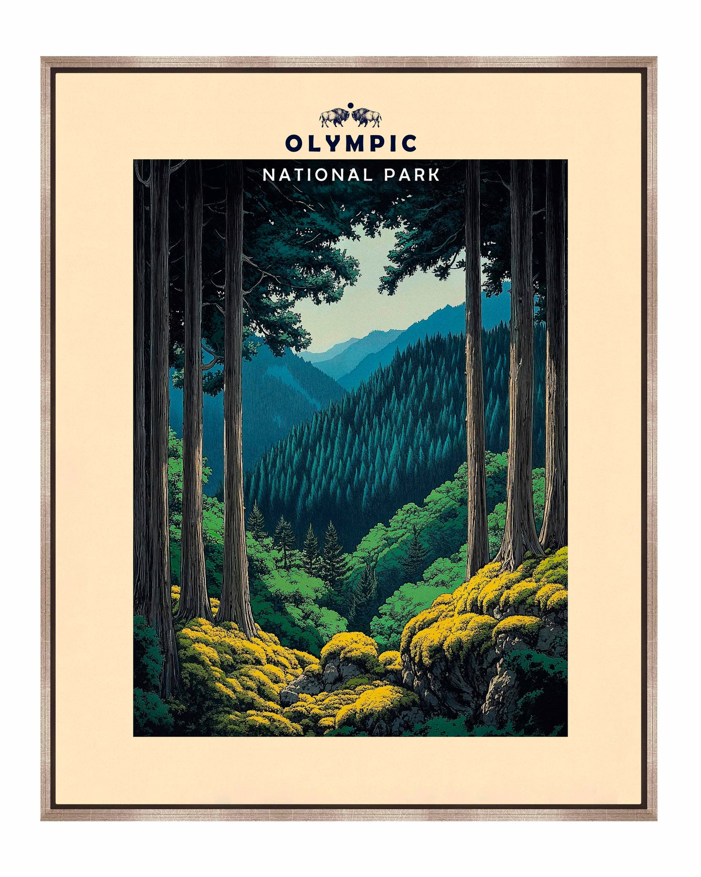 Olympic - Gallery Wrapped Canvas