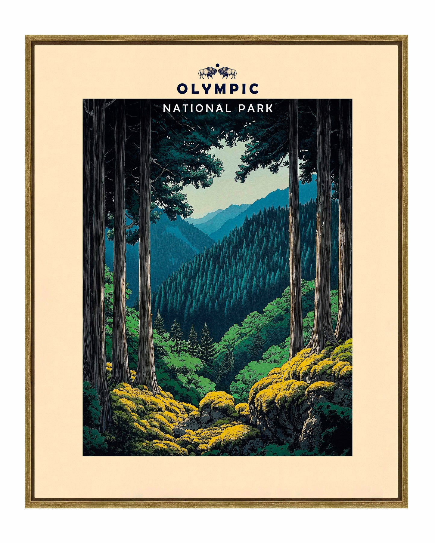 Olympic - Gallery Wrapped Canvas