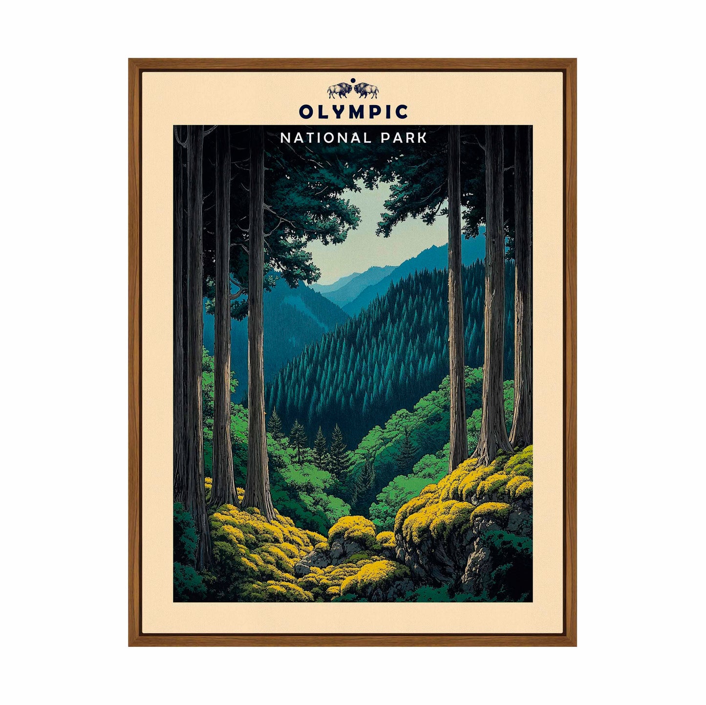 Olympic - Gallery Wrapped Canvas