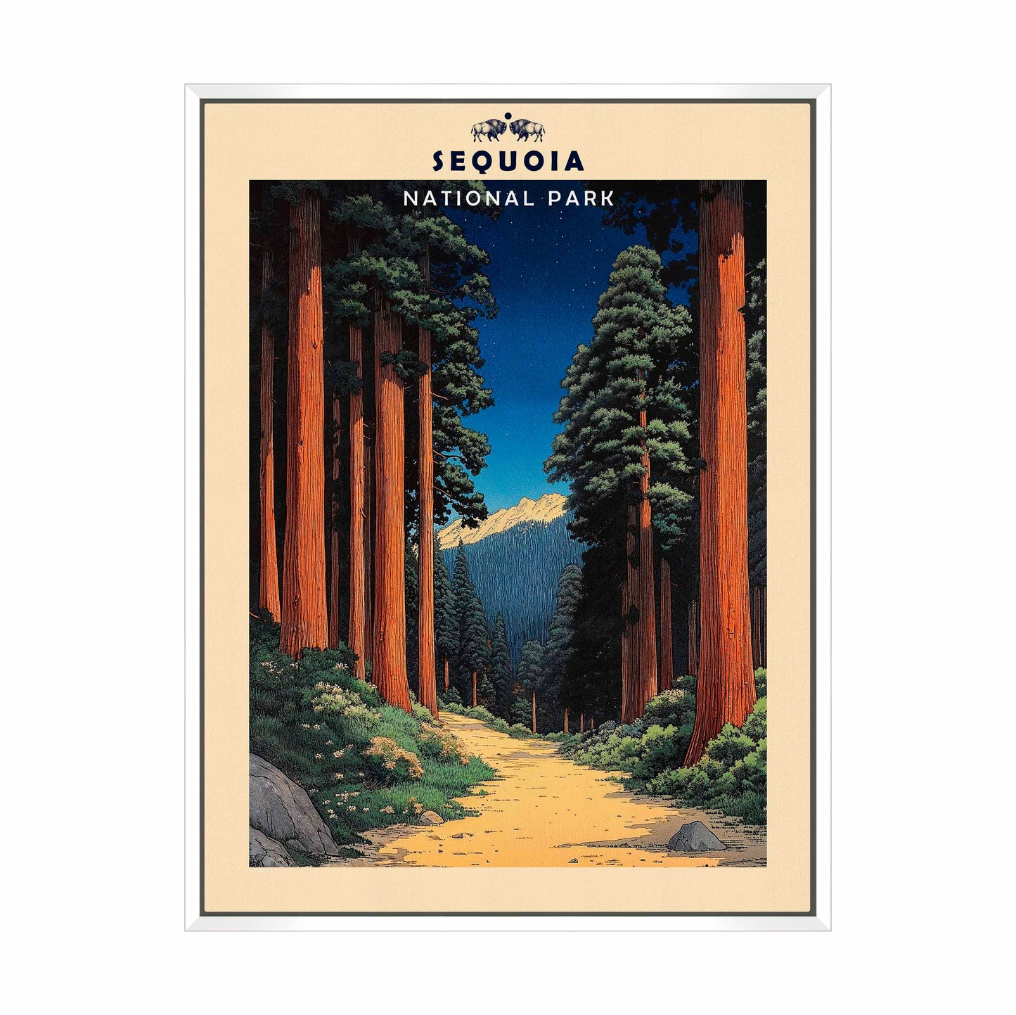 Sequoia - Gallery Wrapped Canvas
