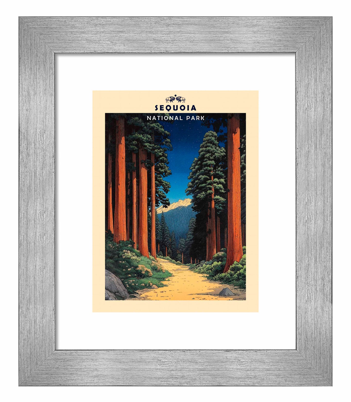 Sequoia - Art Prints