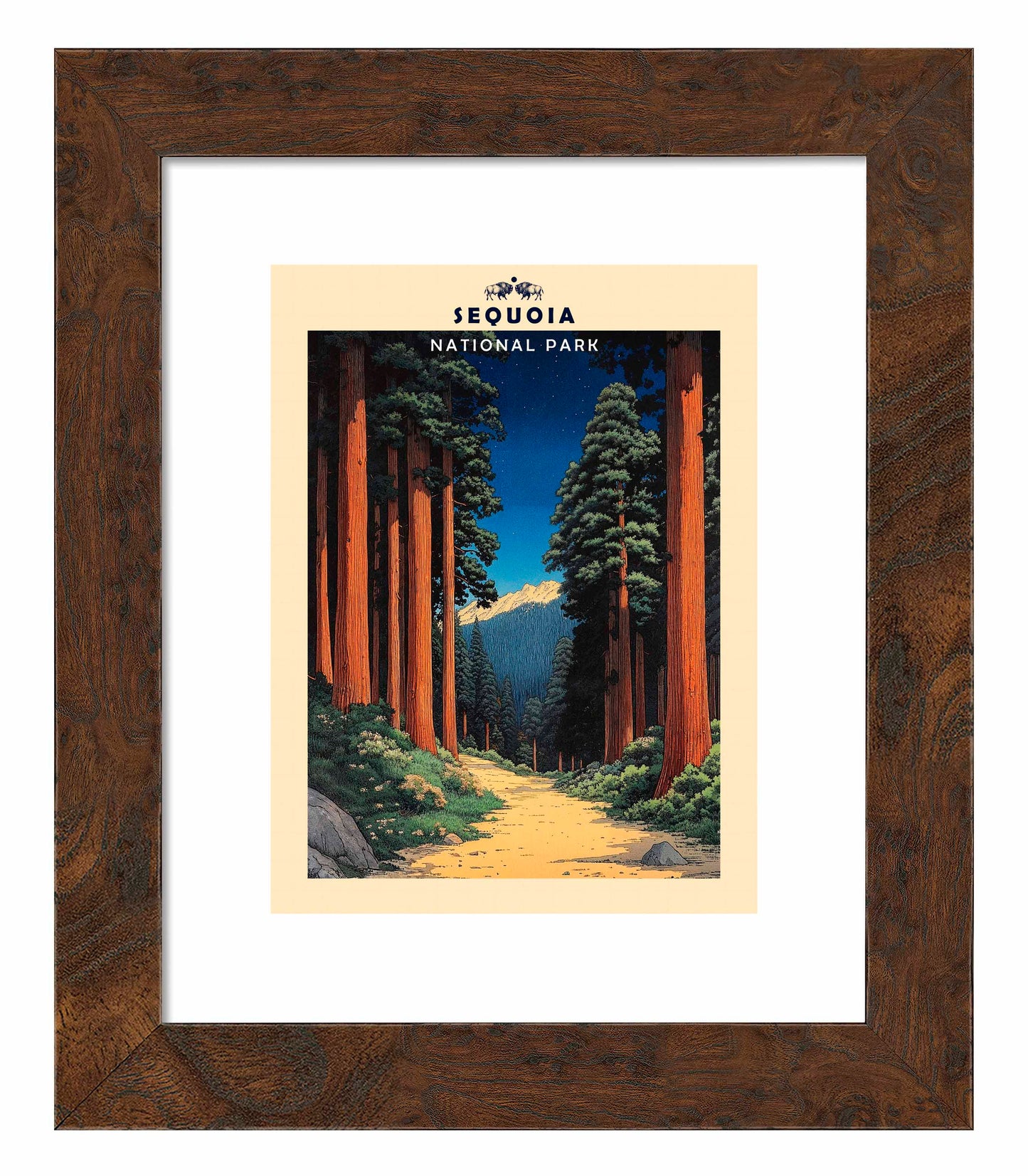 Sequoia - Art Prints