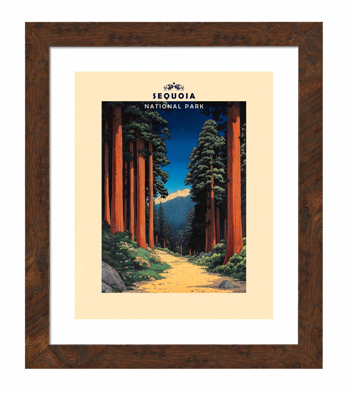 Sequoia - Art Prints