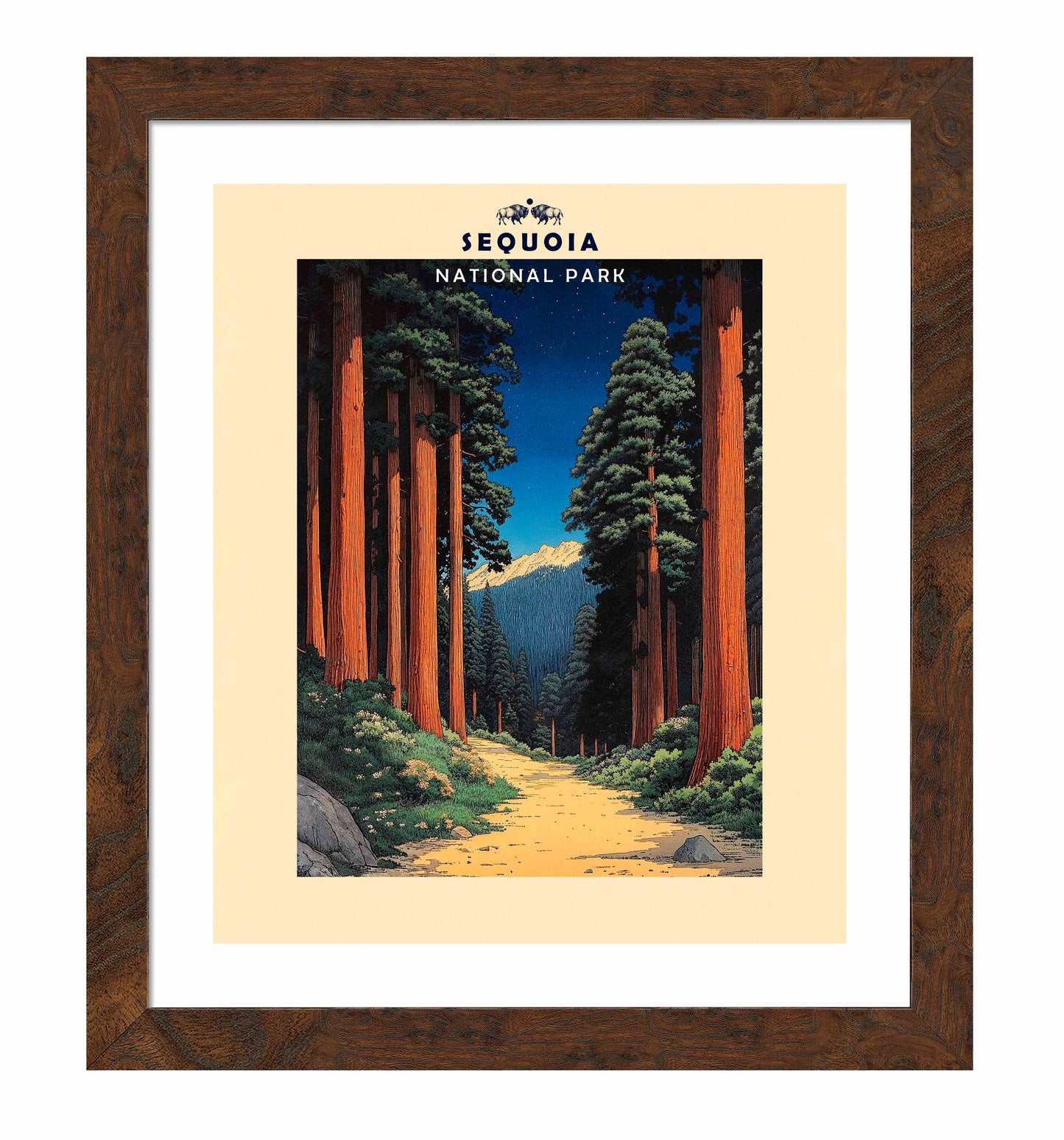Sequoia - Art Prints