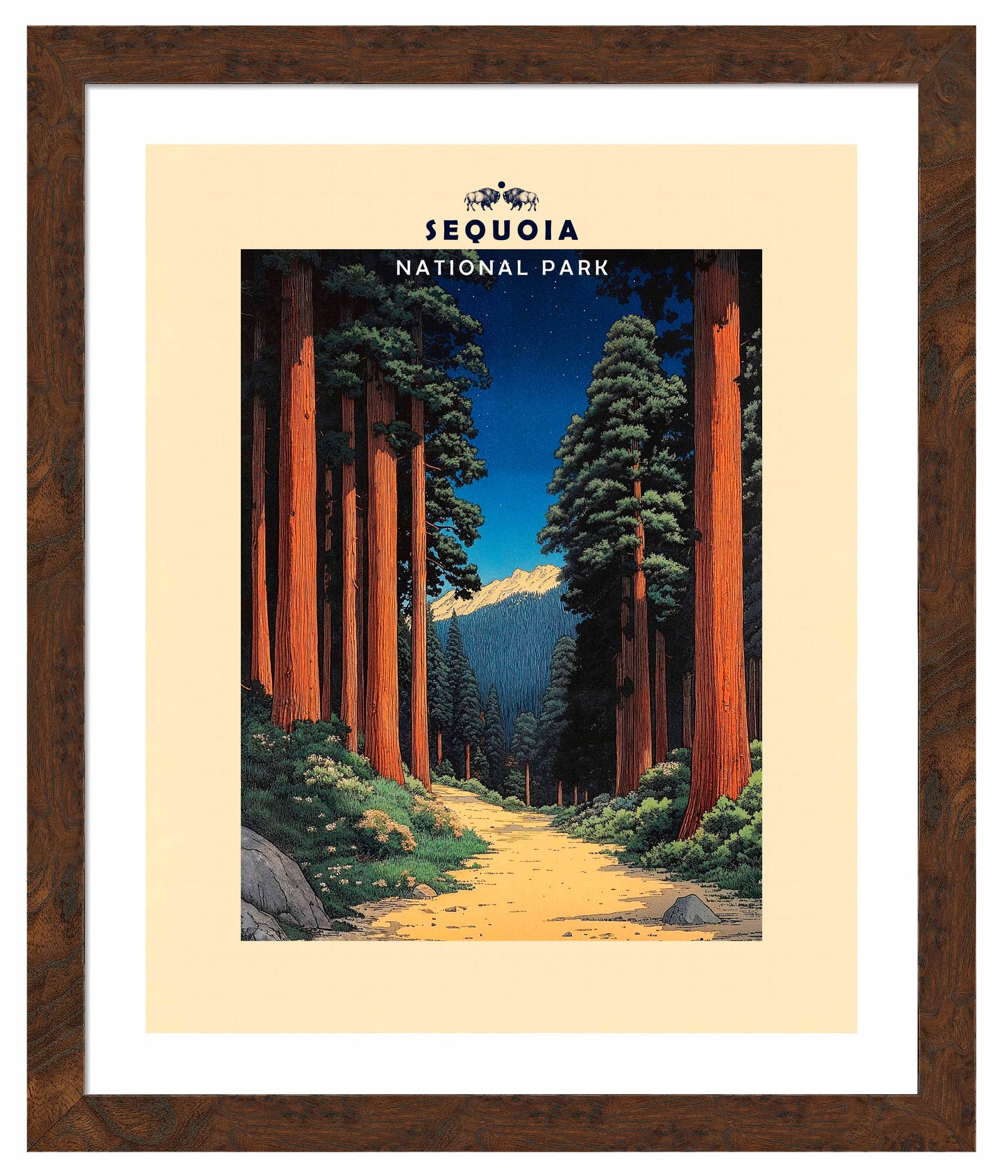 Sequoia - Art Prints
