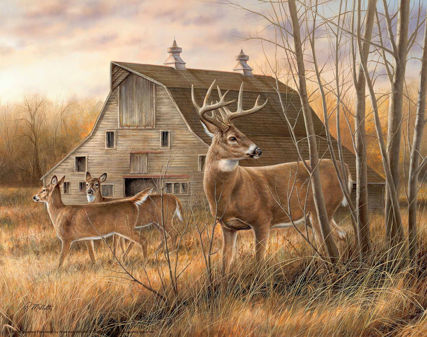 Deserted Farmstead - Whitetail Deer - Art Prints