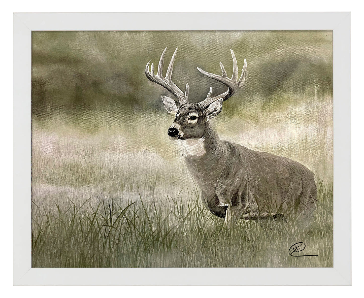 Olive Whitetail Deer - Art Prints