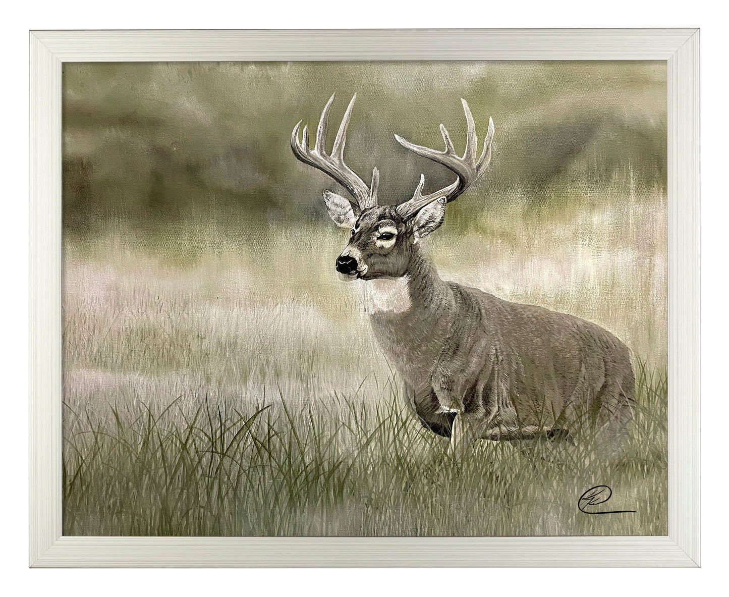 Olive Whitetail Deer - Art Prints