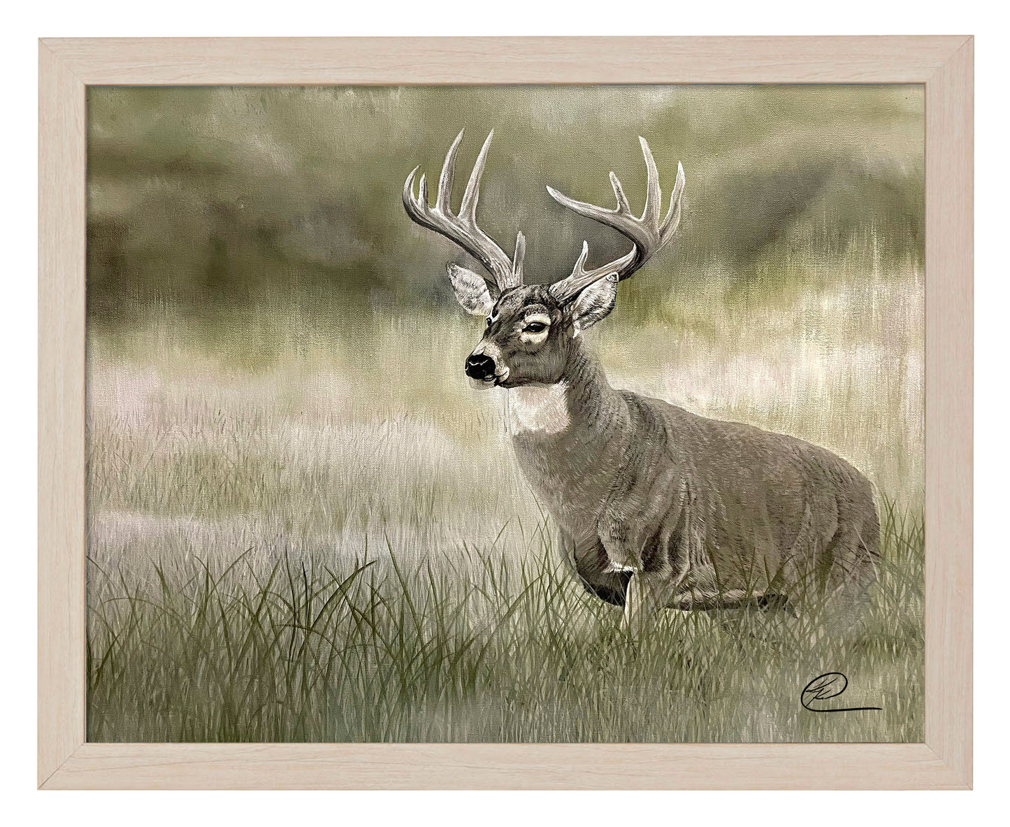 Olive Whitetail Deer - Art Prints
