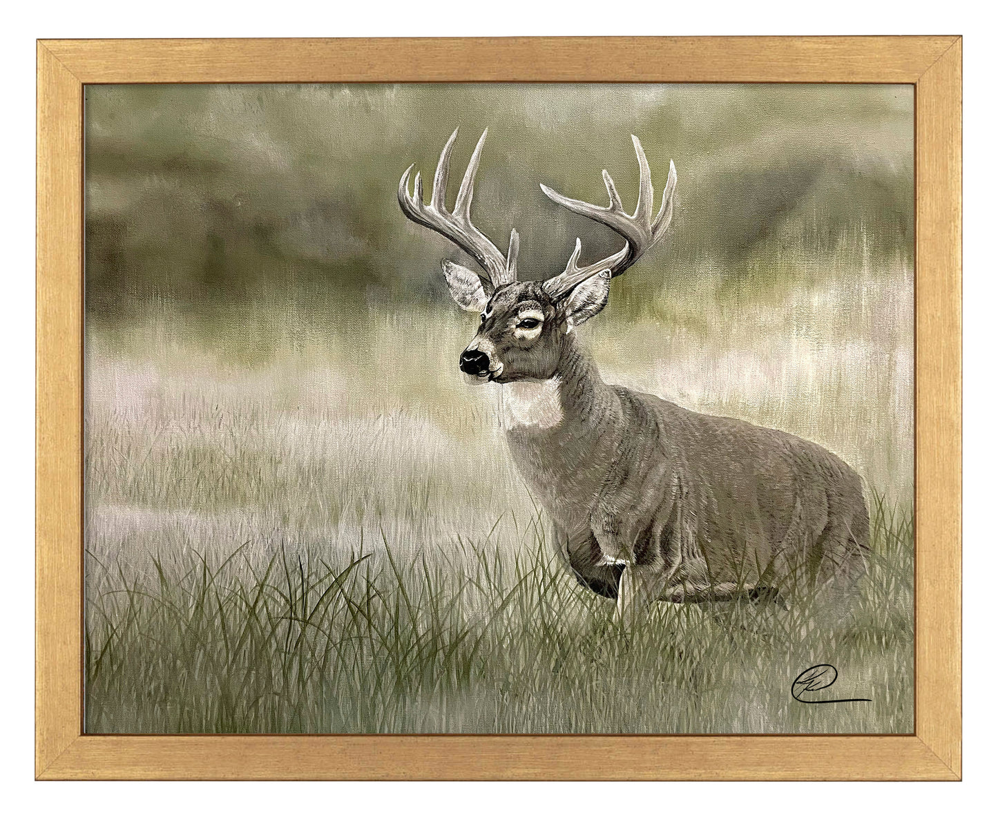 Olive Whitetail Deer - Art Prints