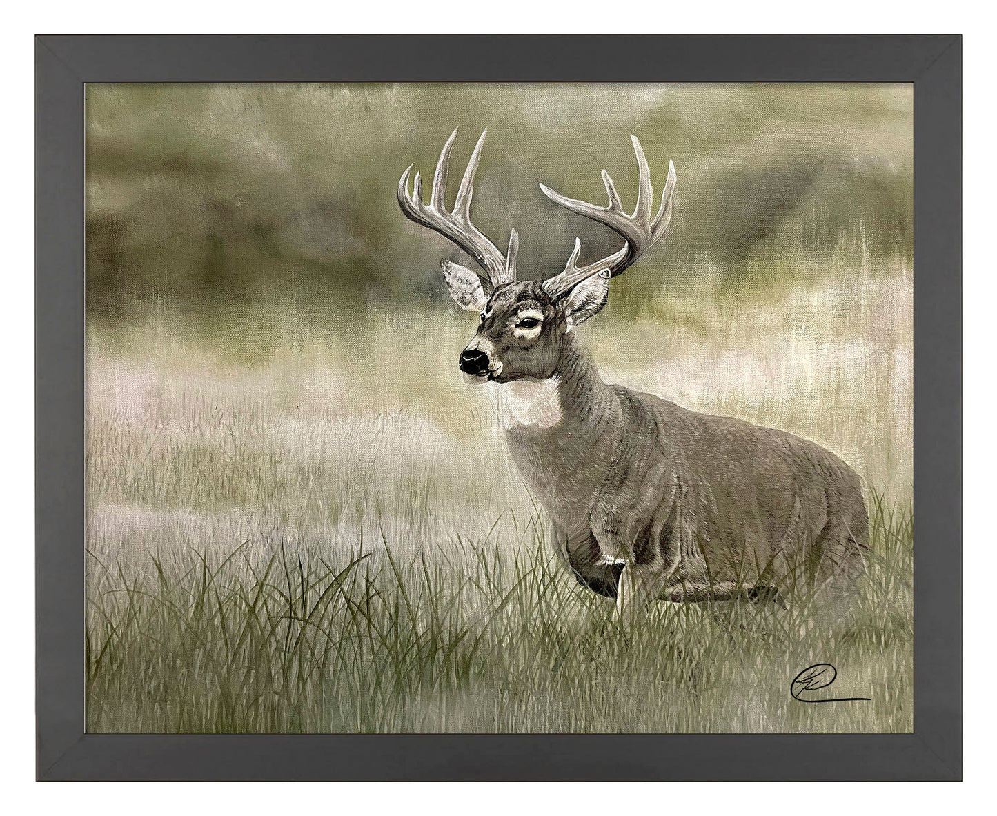 Olive Whitetail Deer - Art Prints