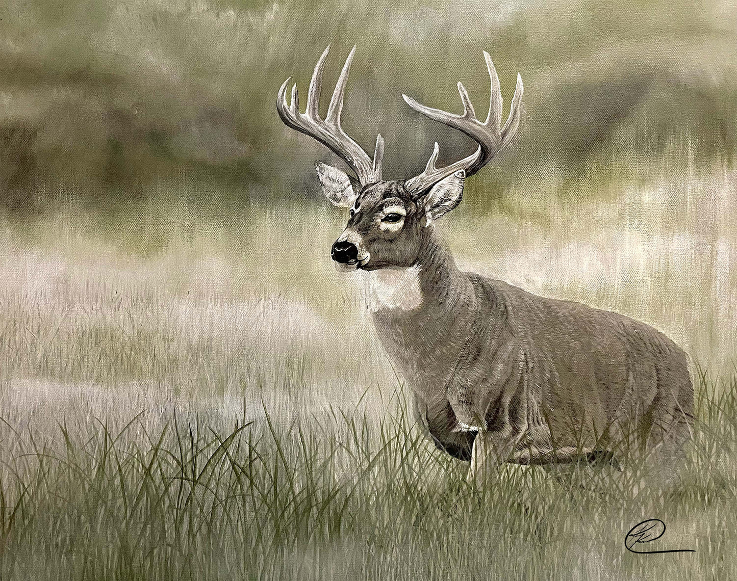 Olive Whitetail Deer - Art Prints