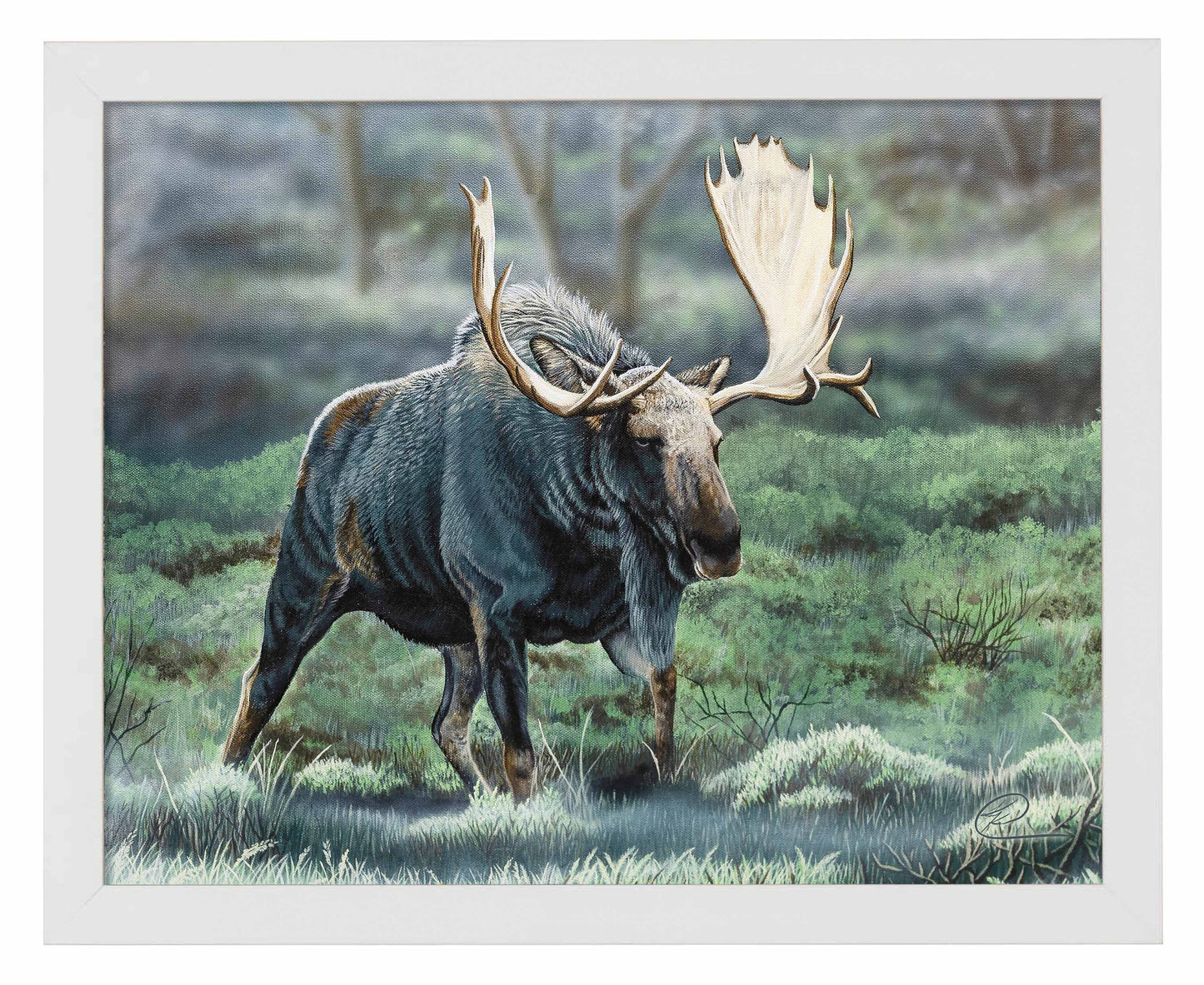 Midnight Forage - Art Prints