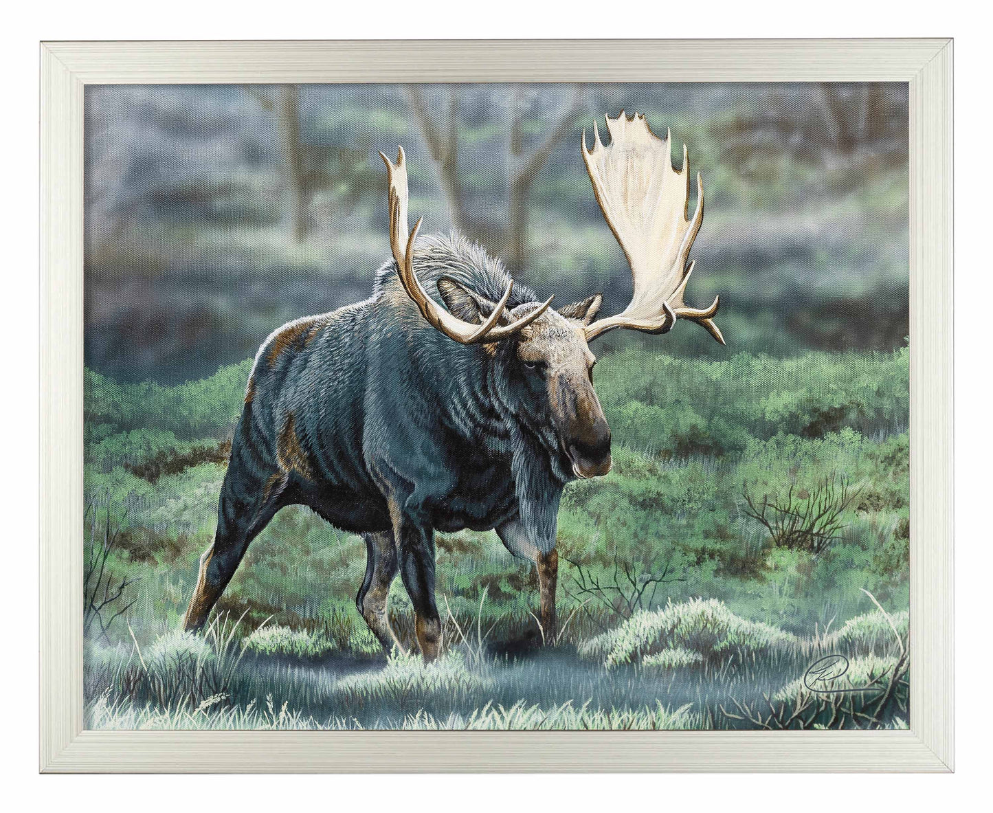 Midnight Forage - Art Prints