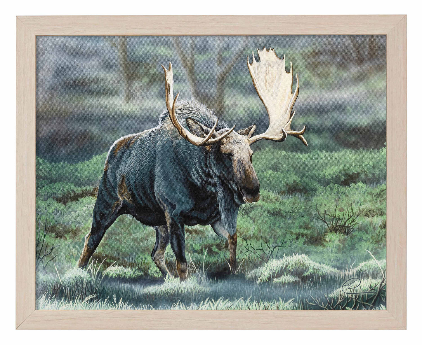 Midnight Forage - Art Prints