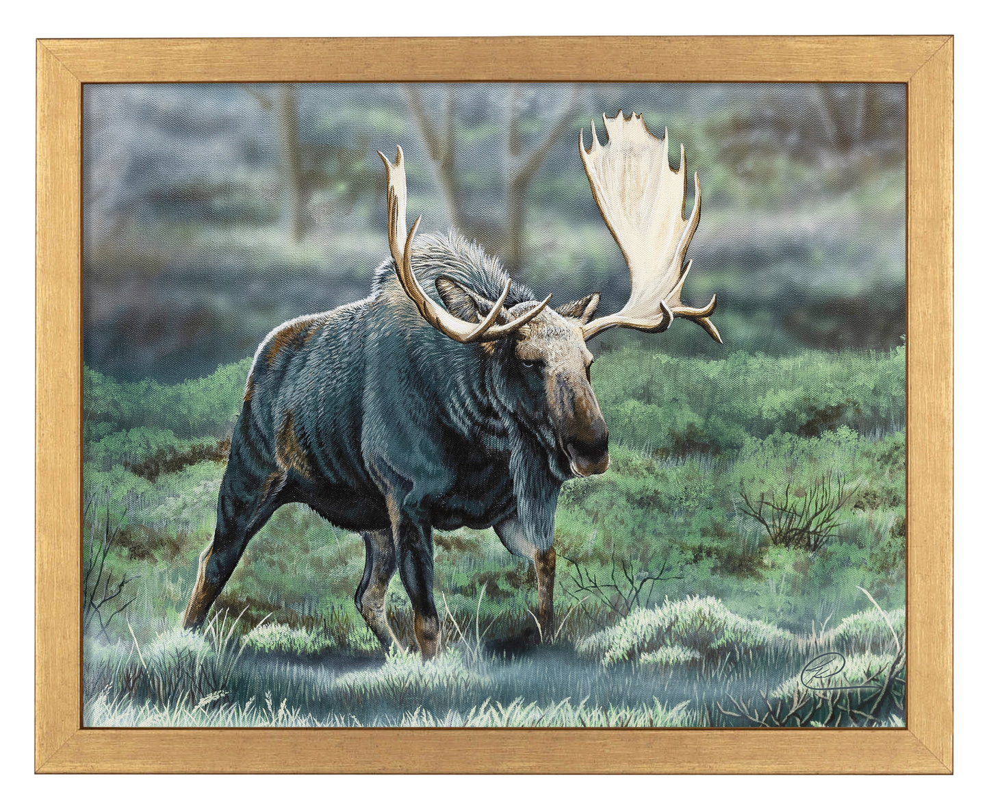 Midnight Forage - Art Prints