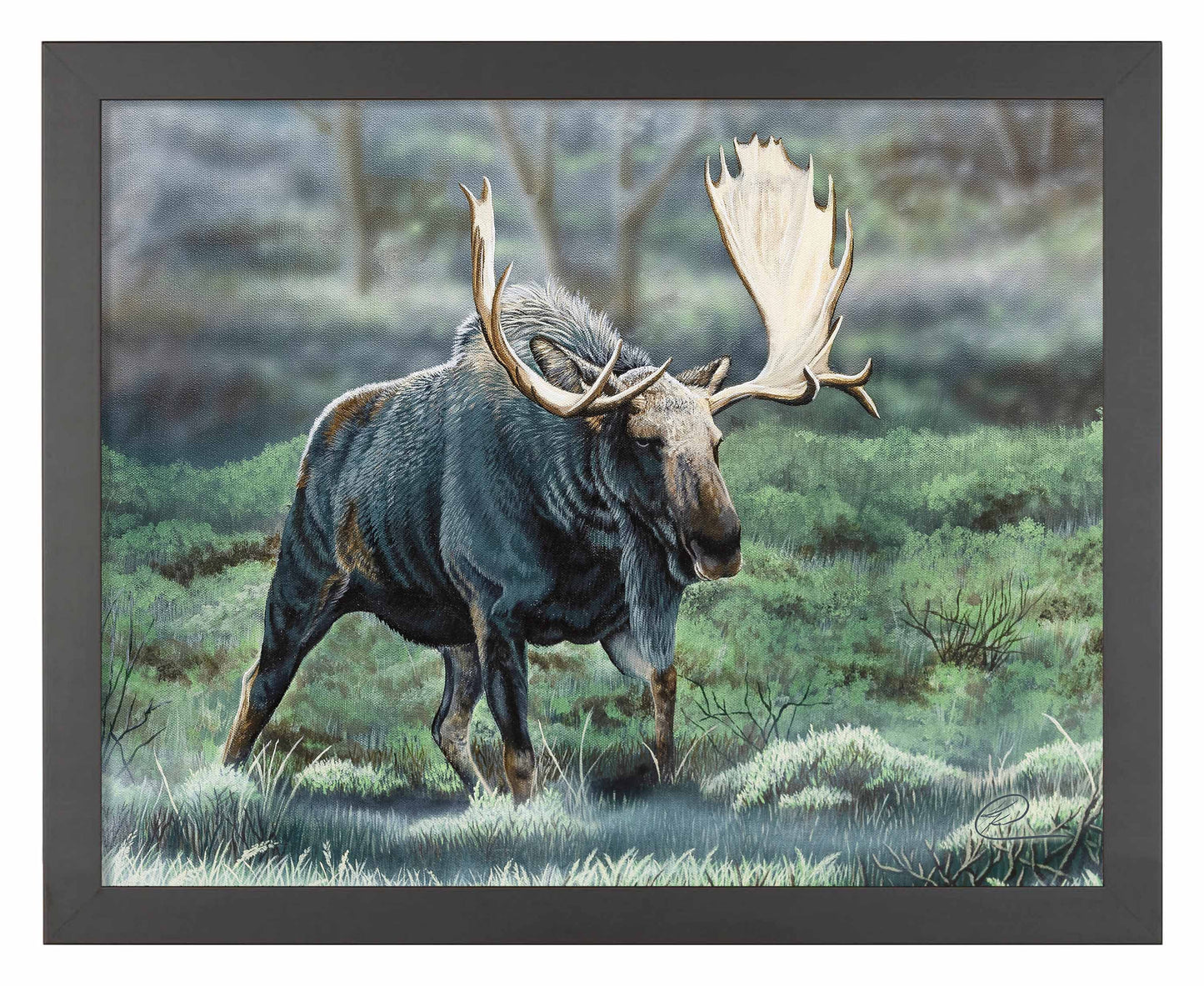 Midnight Forage - Art Prints