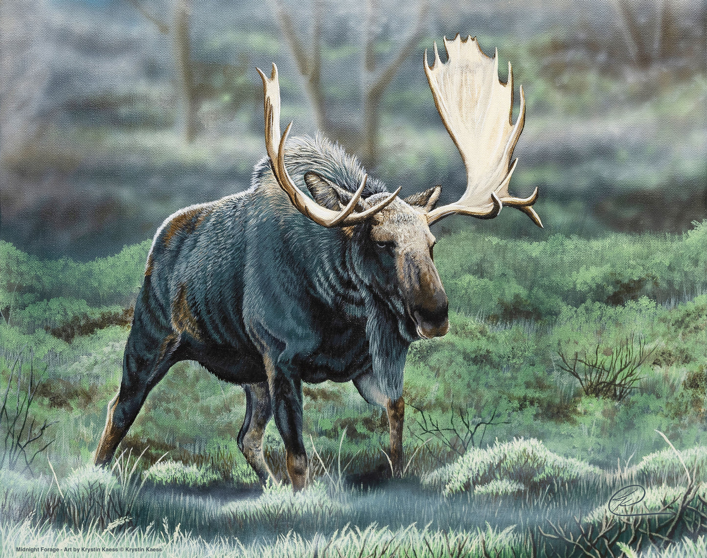 Midnight Forage - Art Prints